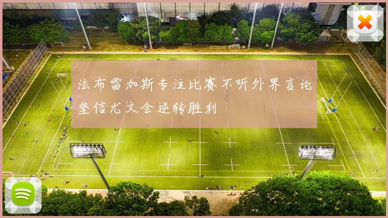 法布雷加斯专注比赛不听外界言论坚信尤文会逆转胜利